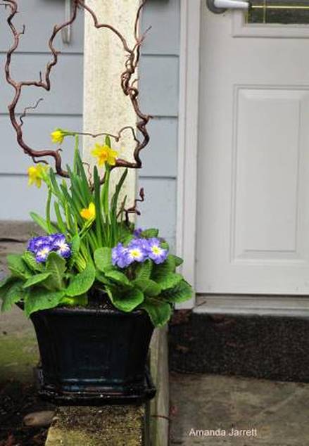 Planter, container, spring flowers, seasonal planter. 