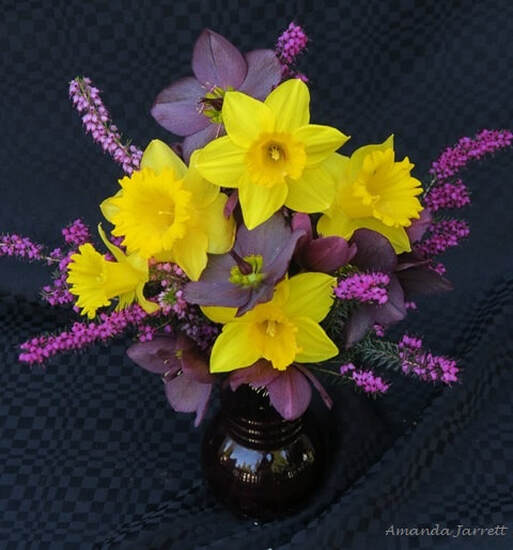 March flowers,flower arrangements
