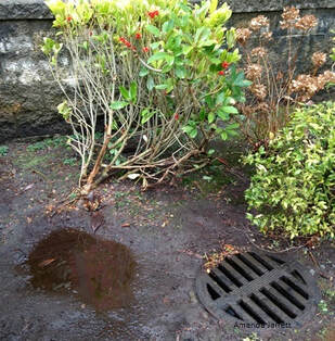 bad drainage solutions