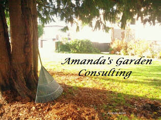 garden consultations advice 