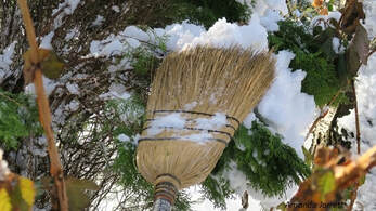 what to do with heavy snow on plants