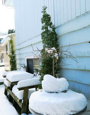 winter protection for plants on balconies