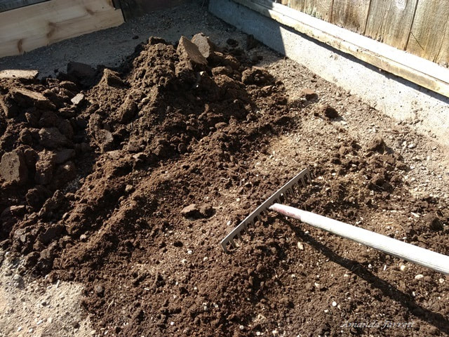 improving soil,soil building,organic soil