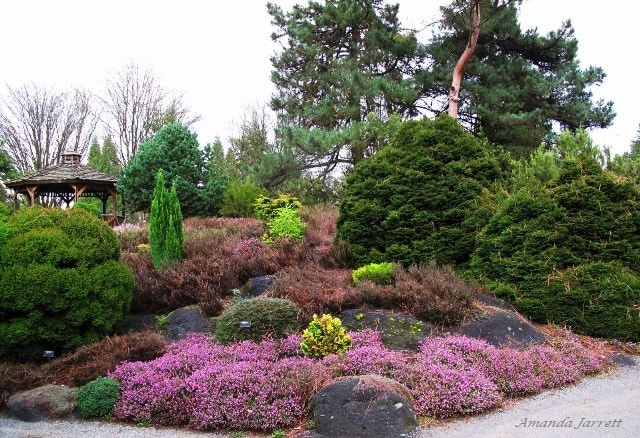 winter gardens,VanDusen Botanical Garden