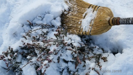 protecting plants in winter,winter garden protection,how to protect plants in winter