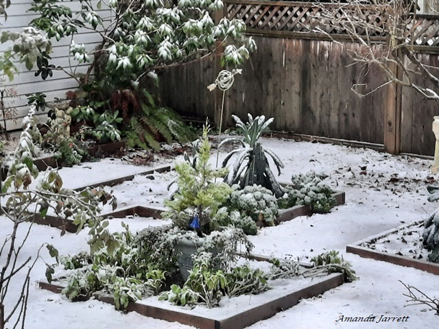 fallow soils,winter protection for vegetable gardens
