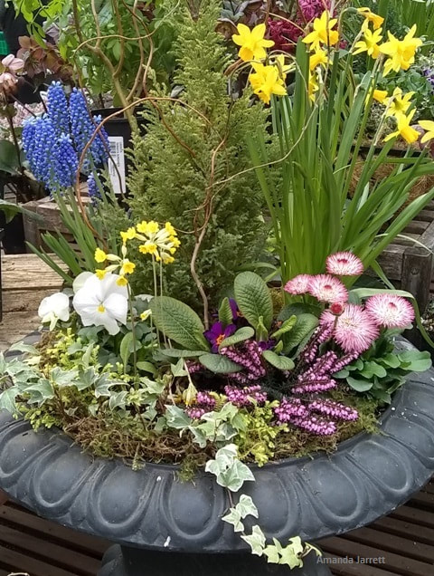 planters for spring