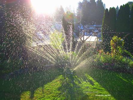 sprinklers,how to water plants,drought gardening,zeriscaping,conserving water in the landscape,watering tips & techniques,irrigation