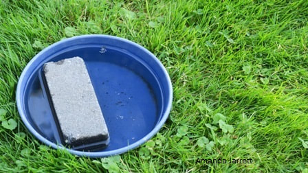 water for animals in summer,summer garden chores